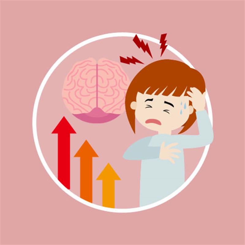 精緻腦部專案(籌畫中)